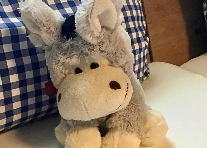 Ubytování v soukromí Haus Buuck - *